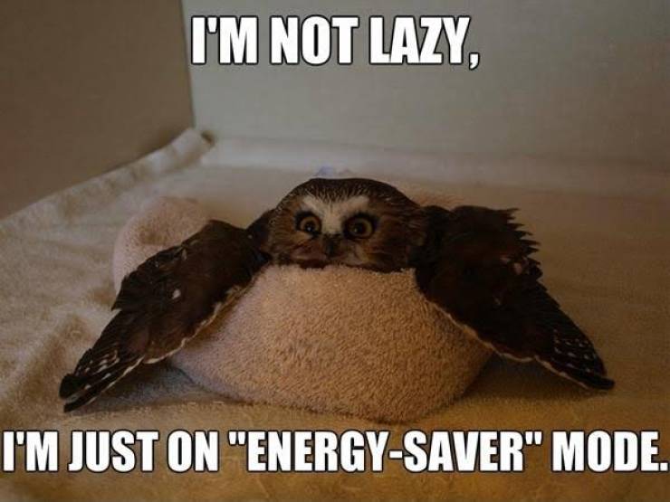 Funny Picdump