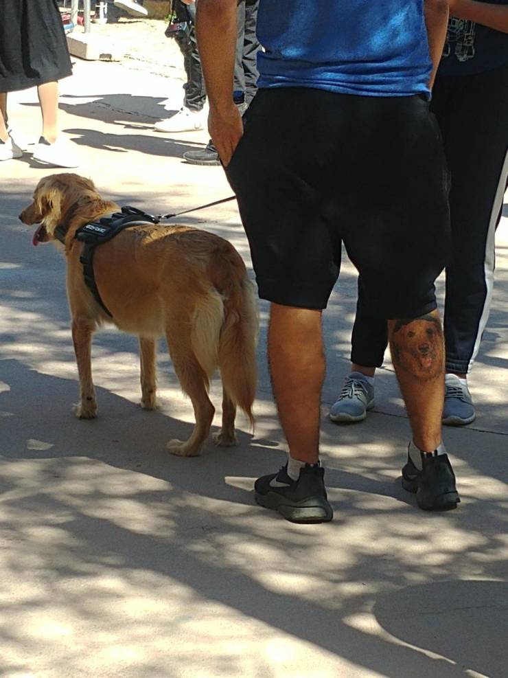 Daily Picdump