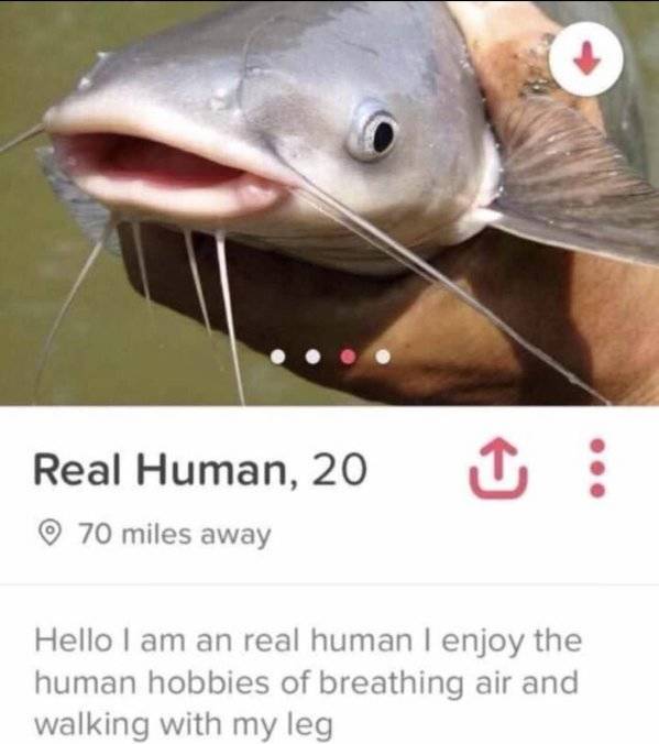 Tinder: What’s Shame, Again?