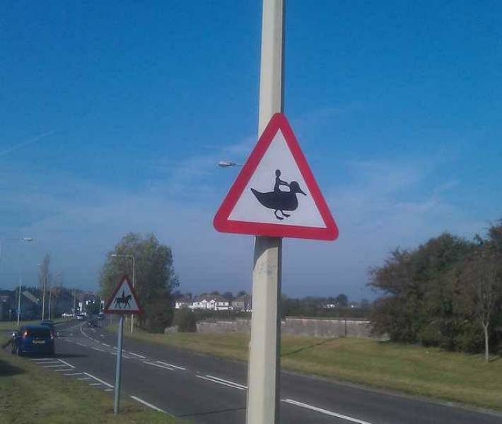 Morning Picdump