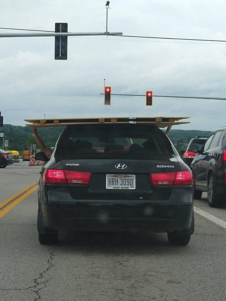 Morning Picdump