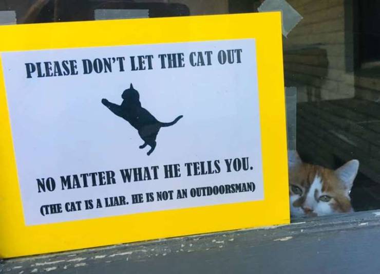 Daily Picdump [WEEKEND EDITION]