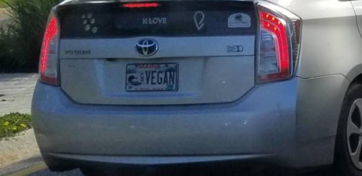 Funny Picdump