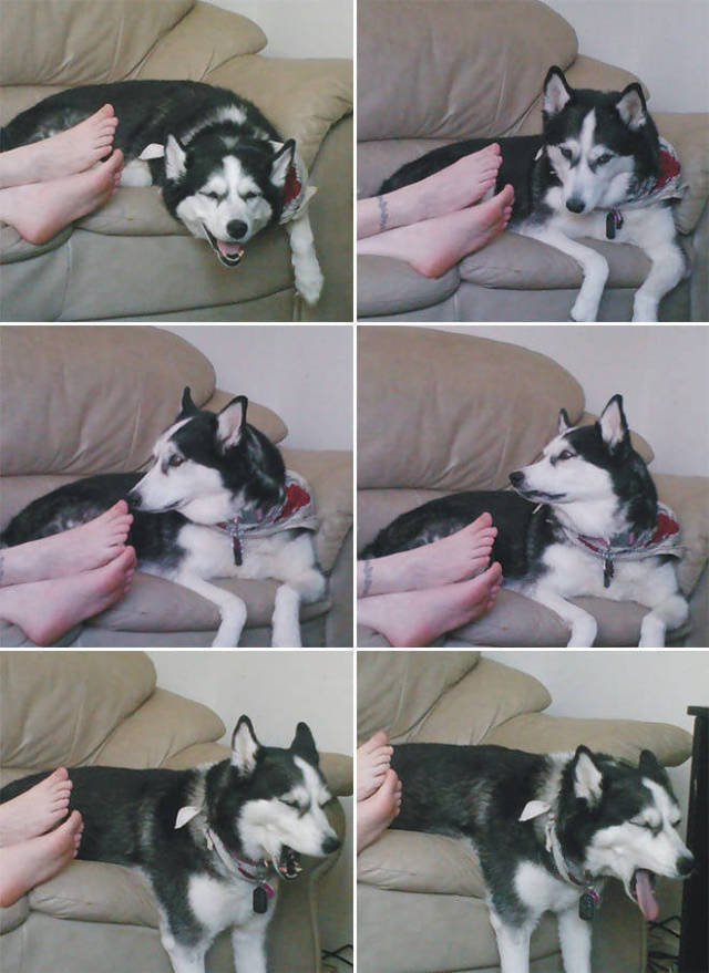 Funny Picdump