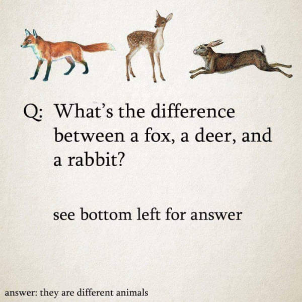 Funny Picdump