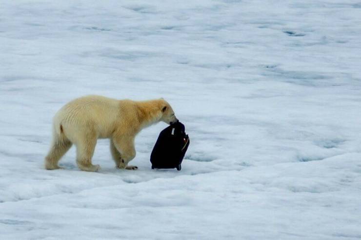 Daily Picdump