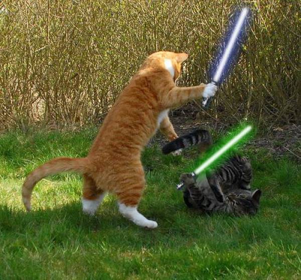 Funny Picdump