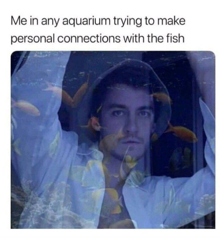 Funny Picdump