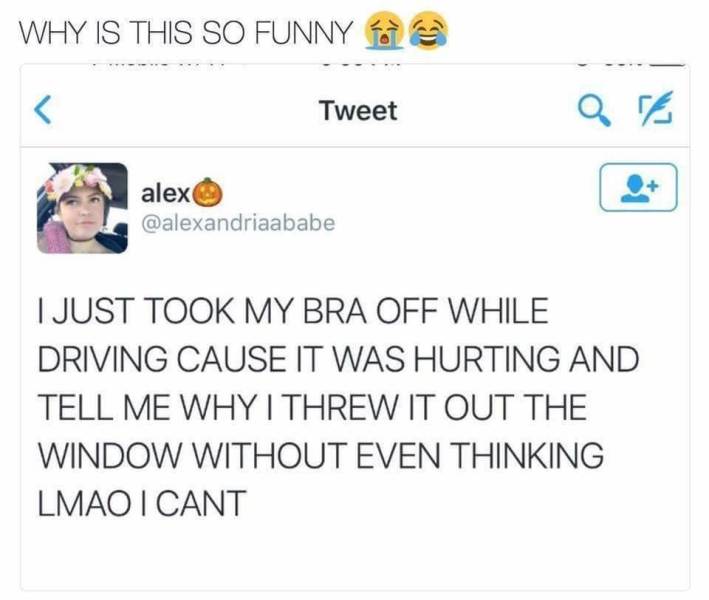 Funny Picdump