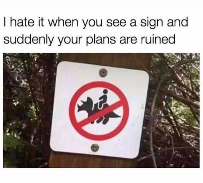 Funny Picdump