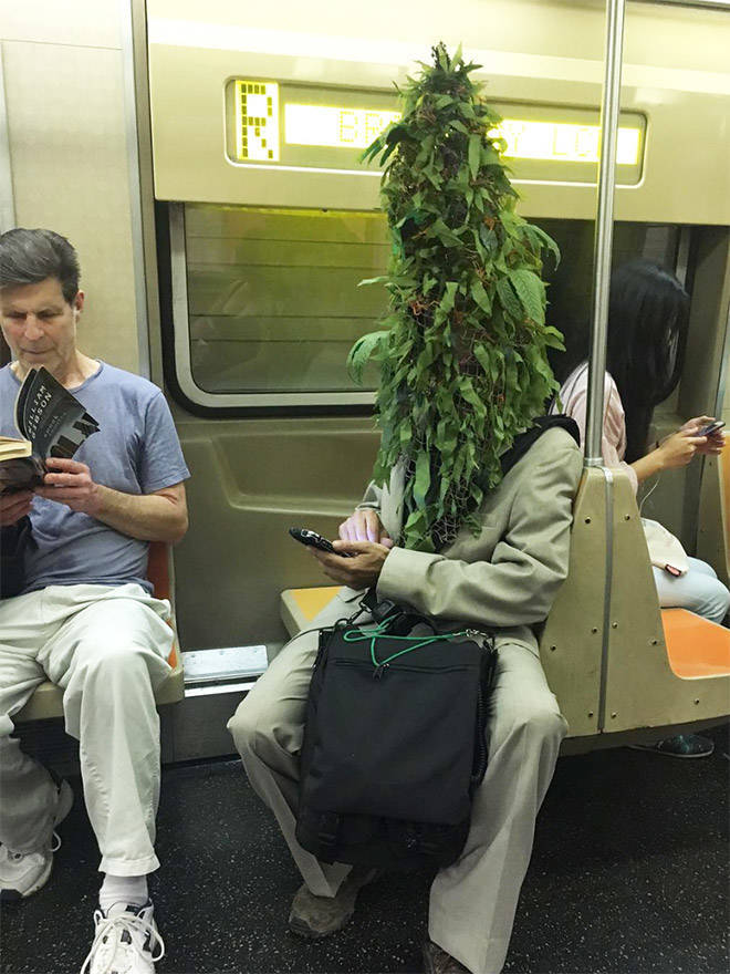 Funny Picdump
