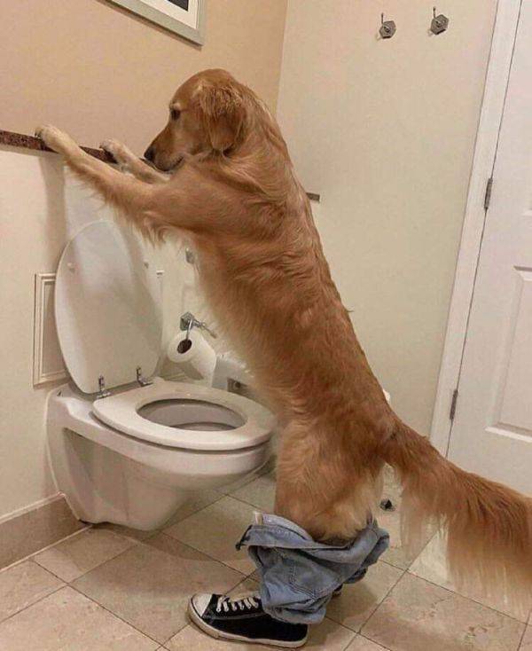 Hard-to-explain WTF Photos