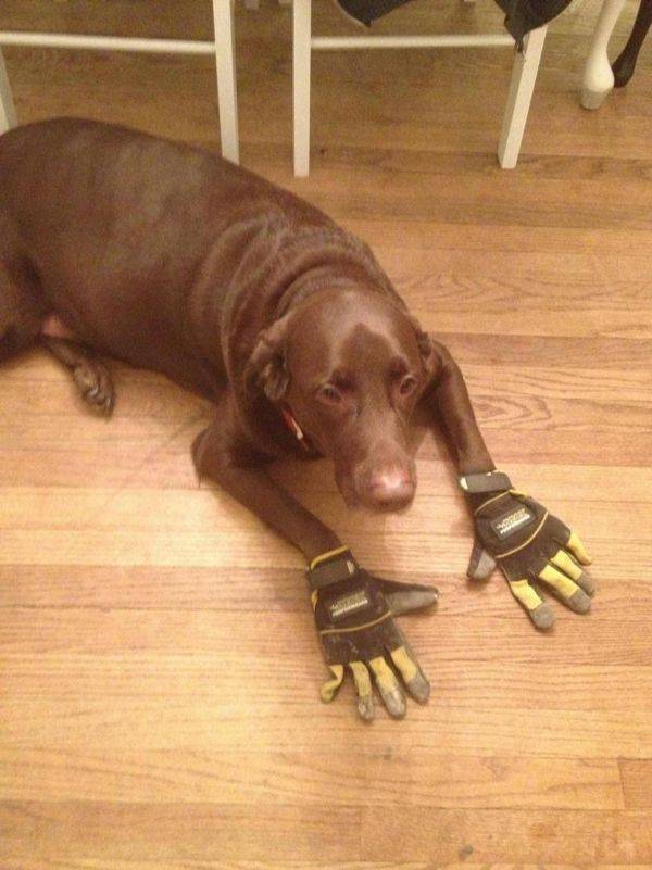 Hard-to-explain WTF Photos