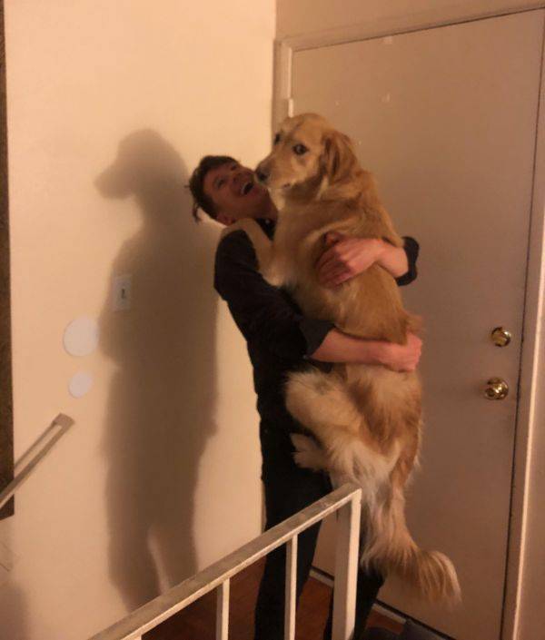Hard-to-explain WTF Photos