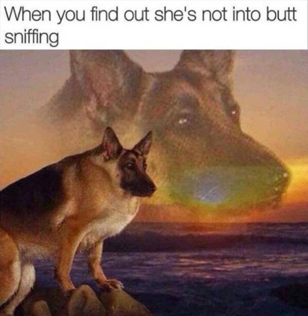 Feeling Dirty, Huh?
