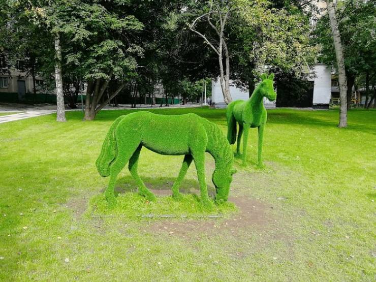 Morning Picdump