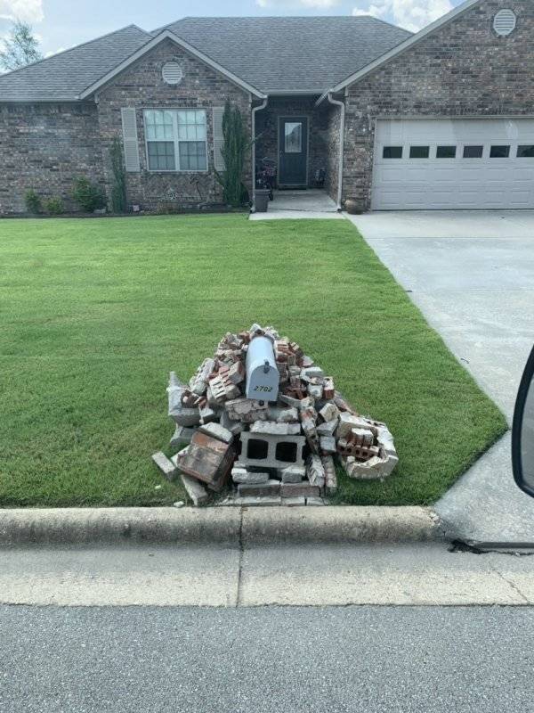 Morning Picdump