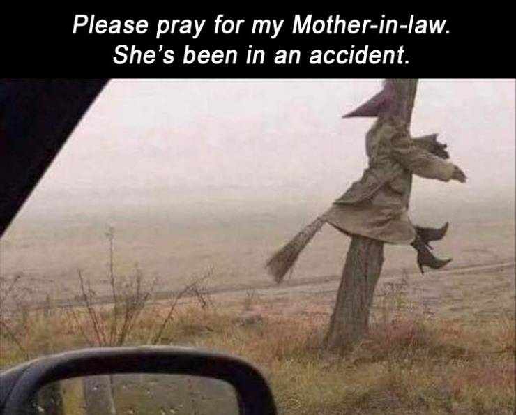 Funny Picdump