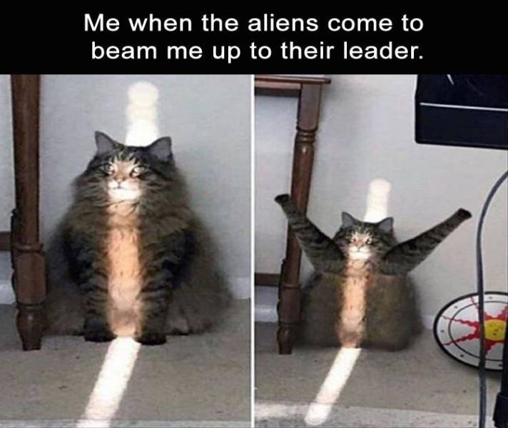 Funny Picdump