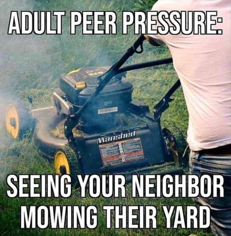 Funny Picdump