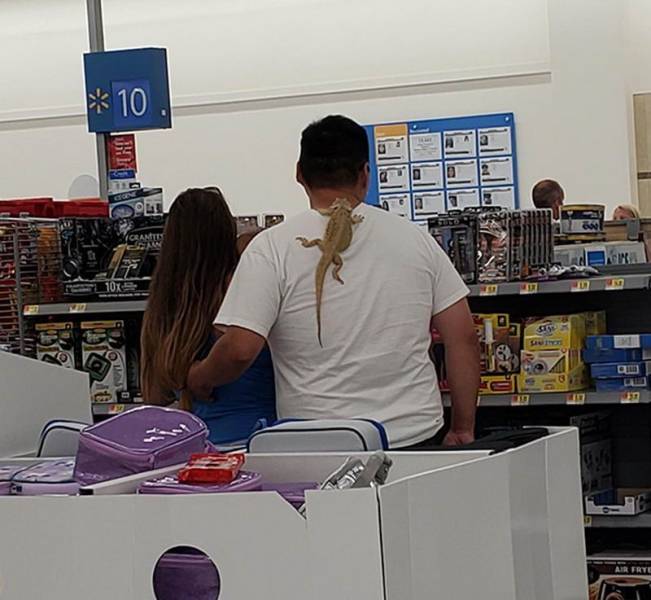 Daily Picdump