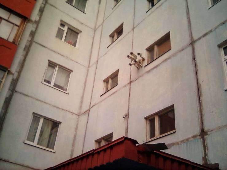 Daily Picdump