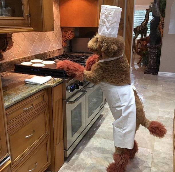 Daily Picdump