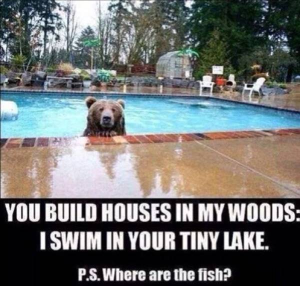 Funny Picdump