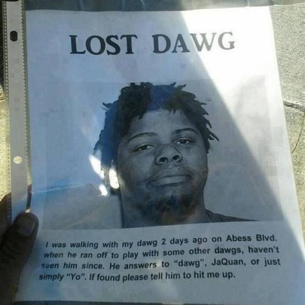 Funny Picdump
