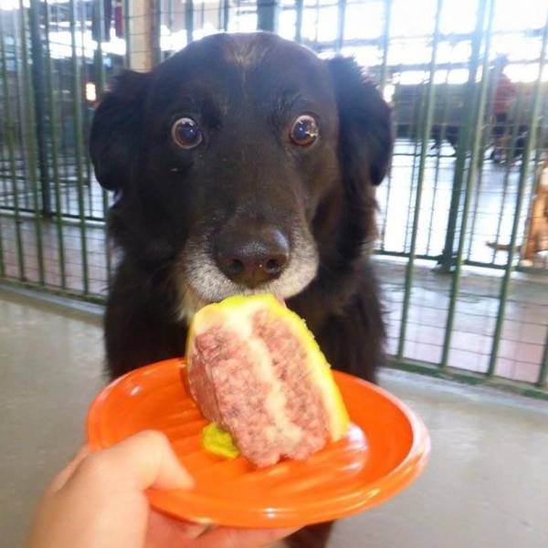 Funny Picdump