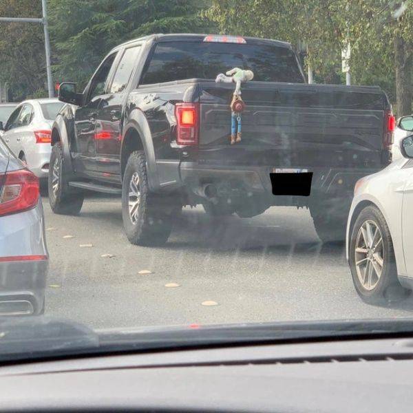 Morning Picdump