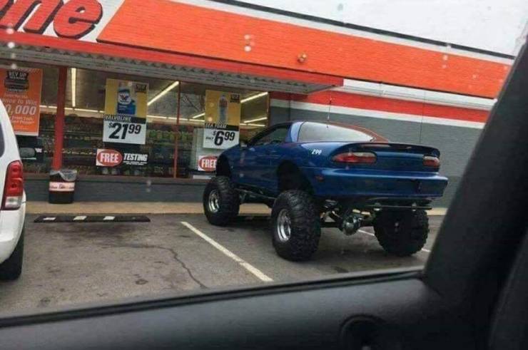 Morning Picdump