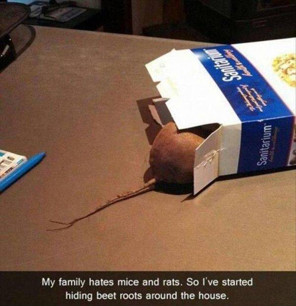 Morning Picdump
