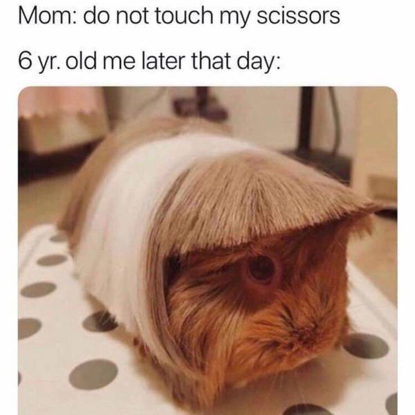 Funny Picdump