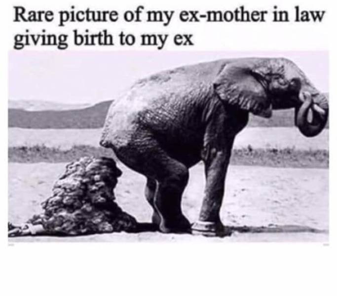 Funny Picdump