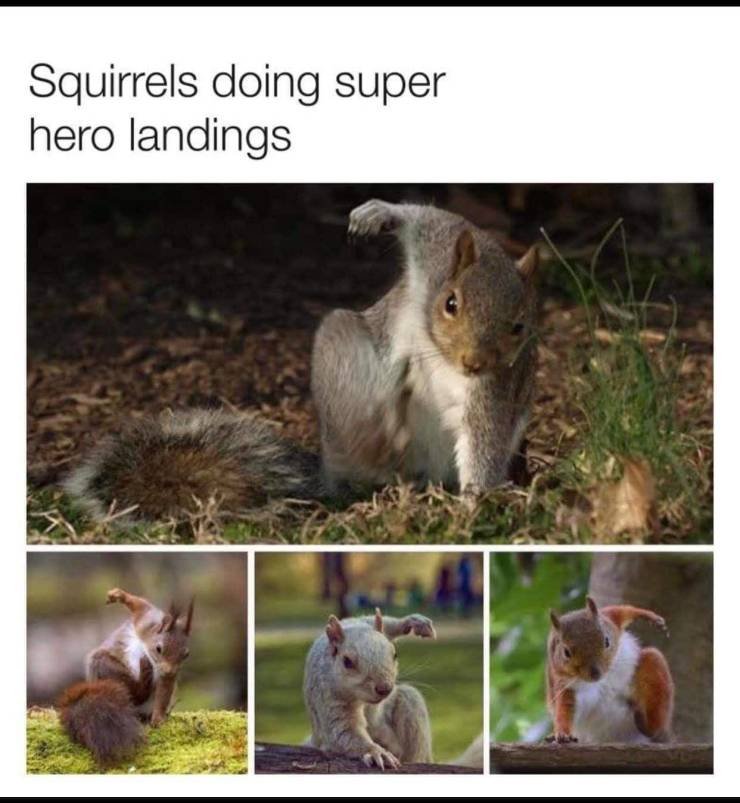 Funny Picdump