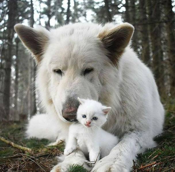 Daily Picdump