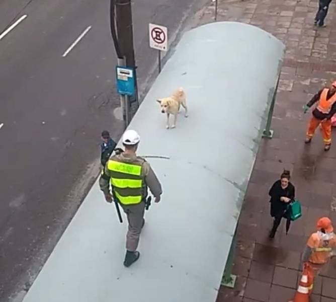 Daily Picdump