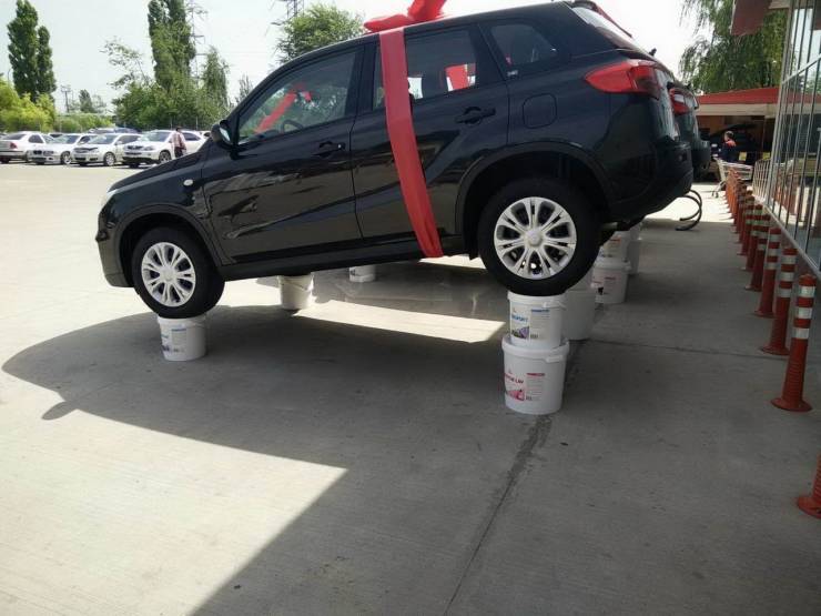 Daily Picdump