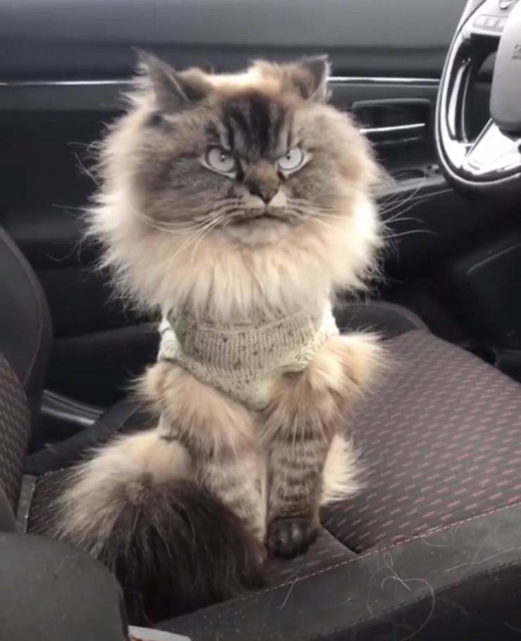 Daily Picdump