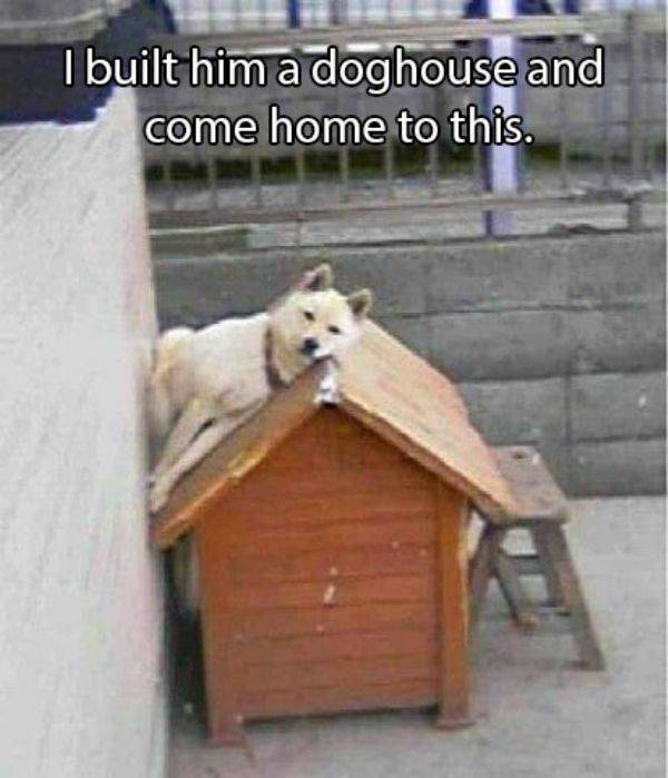 Daily Picdump