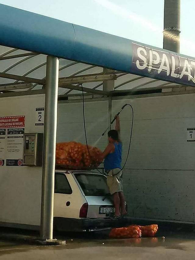 Morning Picdump