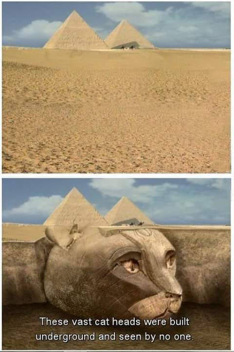 Funny Picdump