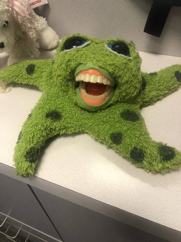 Looks Like A Big Fat Nope