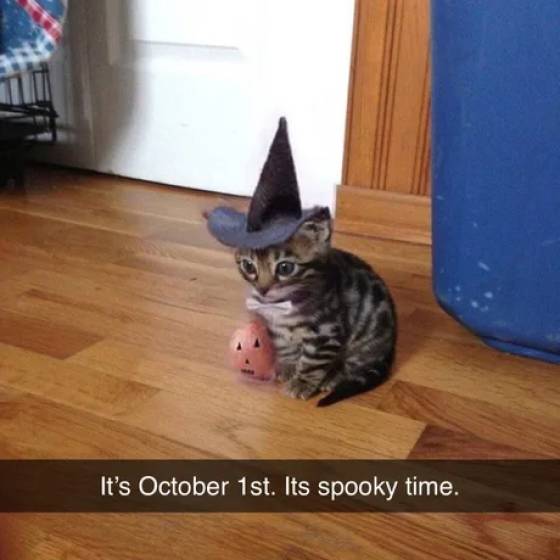 Funny Picdump