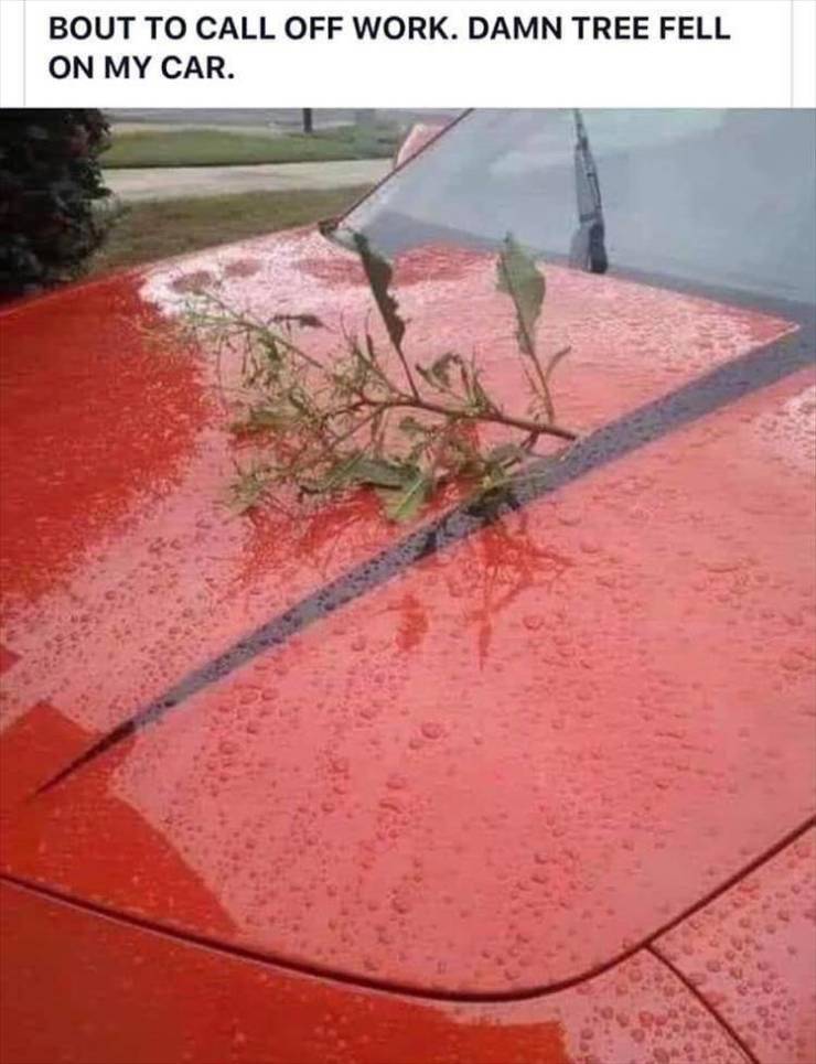 Funny Picdump