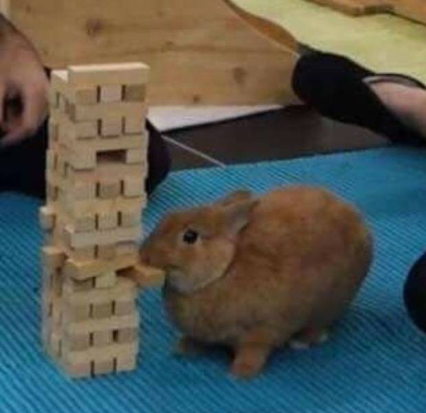 Daily Picdump