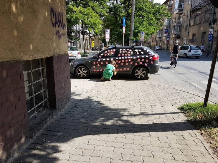 Daily Picdump