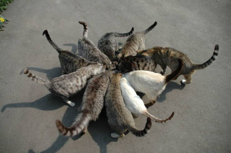 Daily Picdump