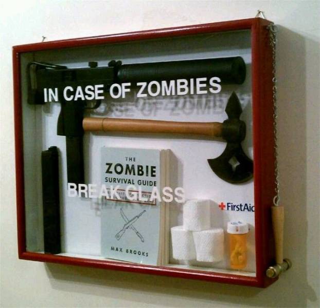 Daily Picdump